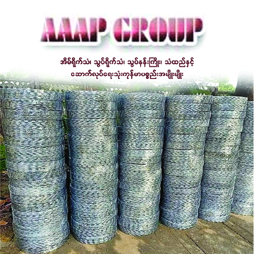 AAAP Group