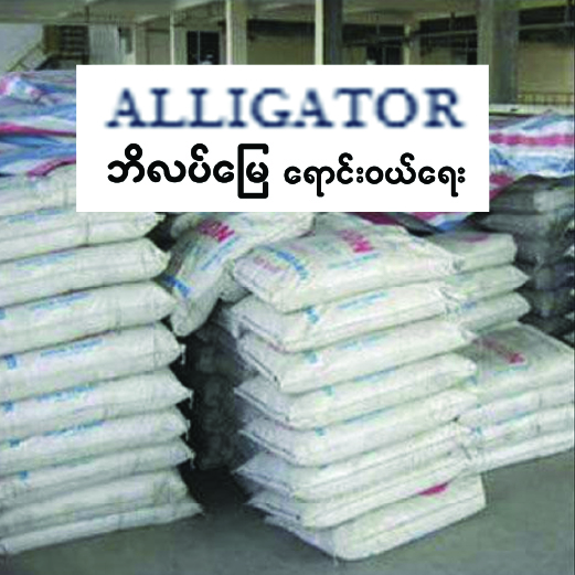 Alligator