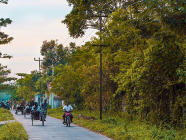 အတက်ဘက်ကိုဆက်လက်ဦးတည်နေသော ဒလအိမ်ခြံမြေ